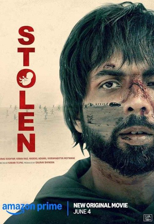 Stolen (2025) Hindi Movie Full Movie Download